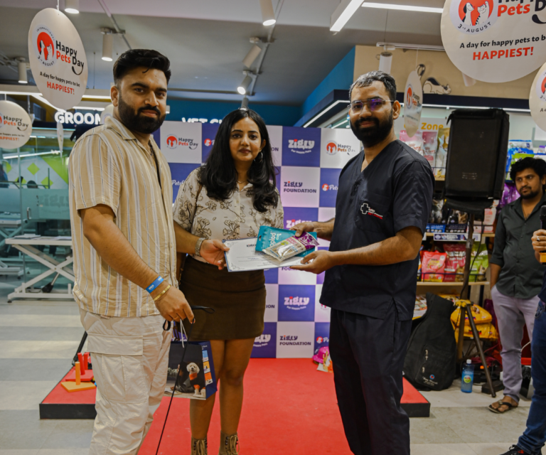 Instore Activity Five